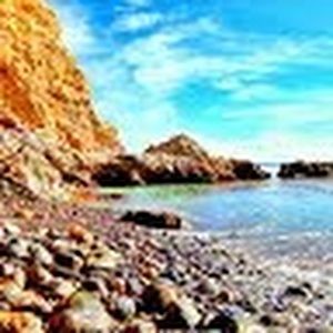 Meet your Posher, Dina m.